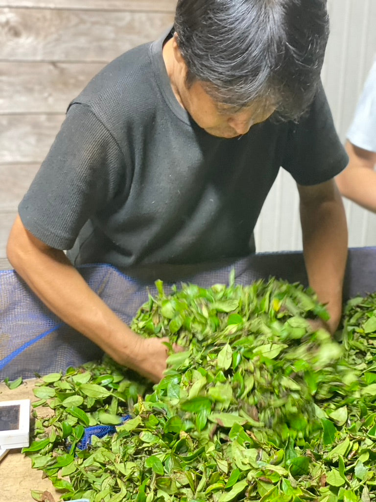 天の製茶園 『さやまみどり』, 水俣 二番茶 2025