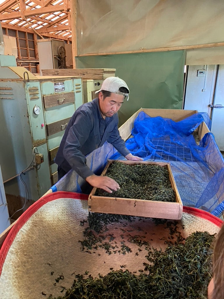 天の製茶園 『たかちほ』, 水俣 一番茶 2025