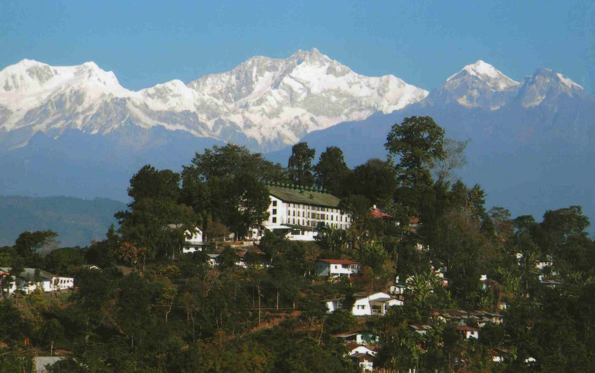 バダンタム FTGFOP1-MOON LIGHT, ダージリン ファーストフラッシュ 2026