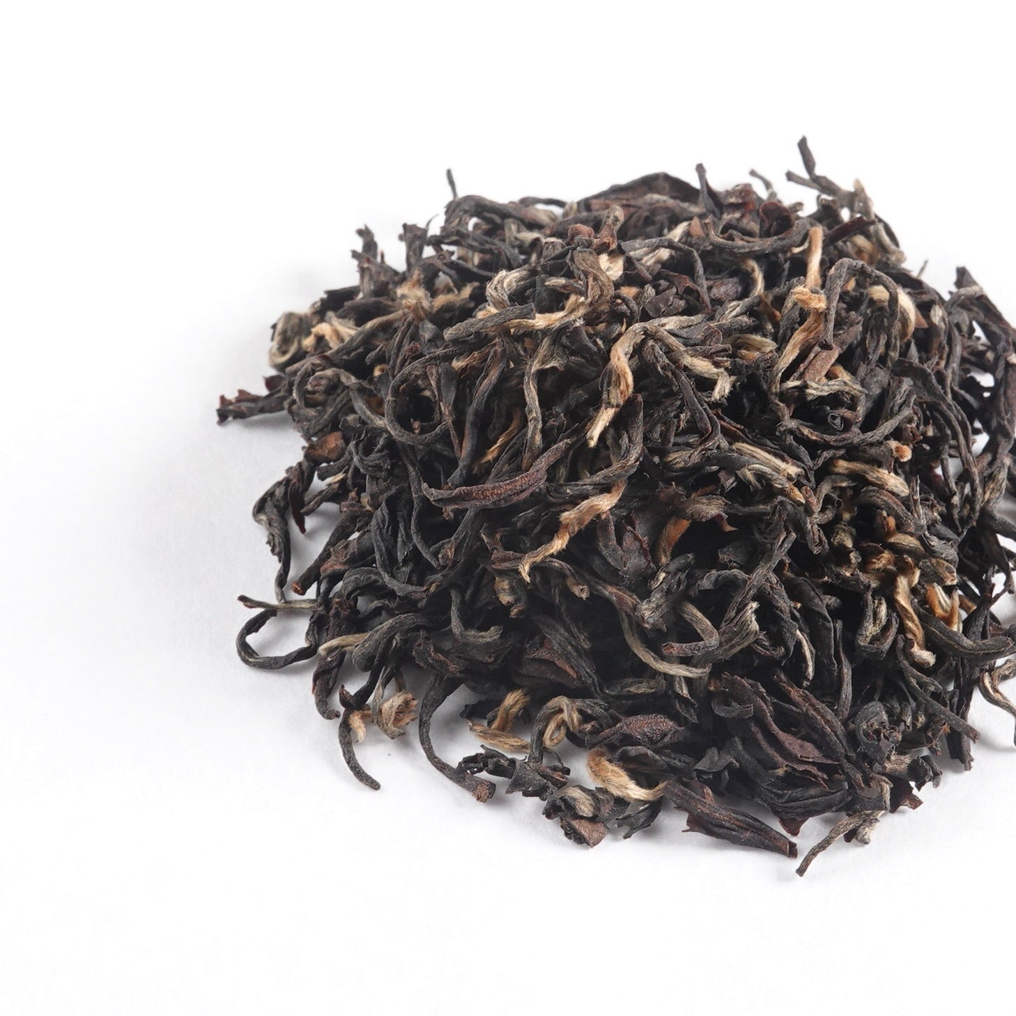 フリンジタペストリー/TPS-RAISIN2 フリンジタペストリー/TPS-RAISIN2