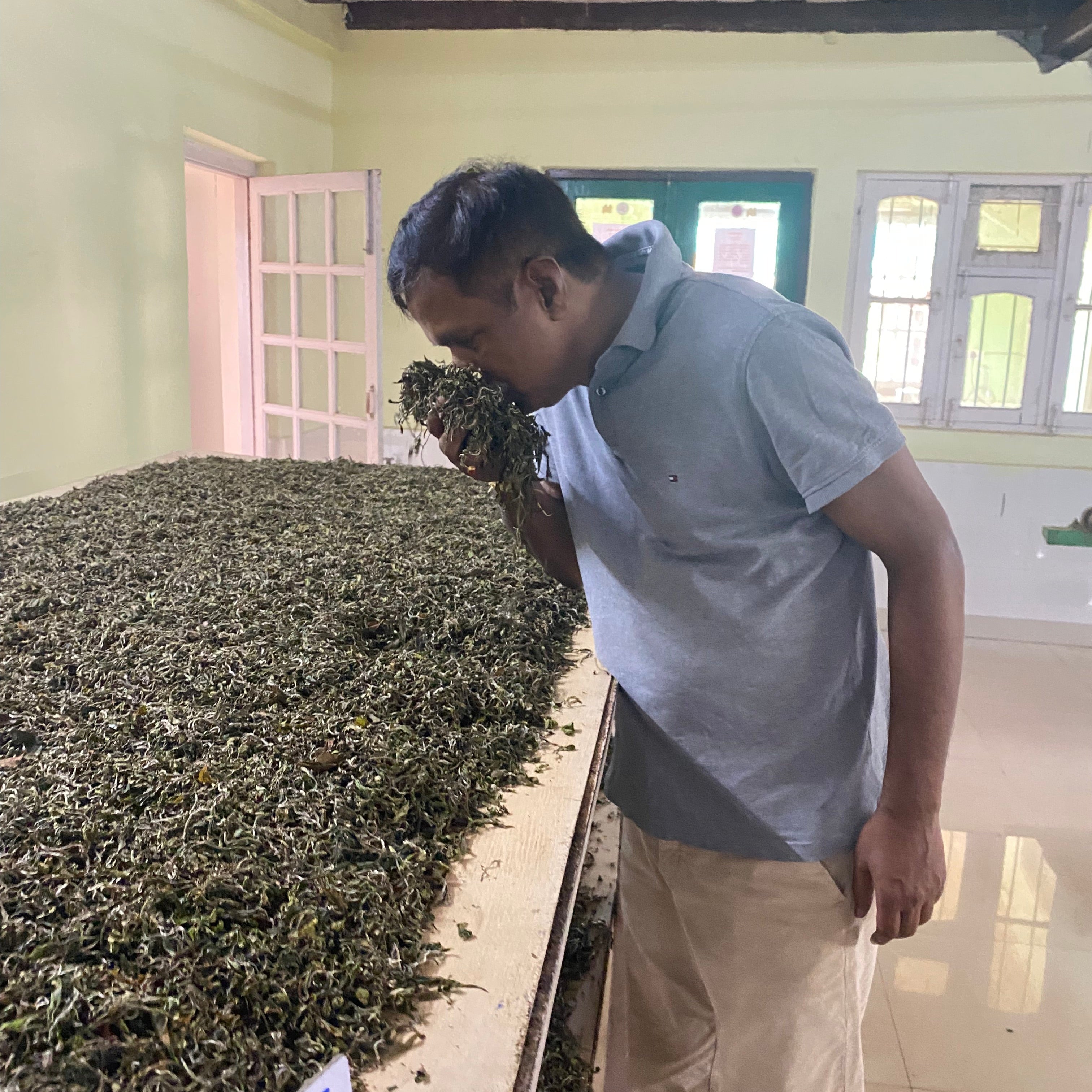 ダージリン セカンドフラッシュ ギダパハール茶園 FTGFOP1