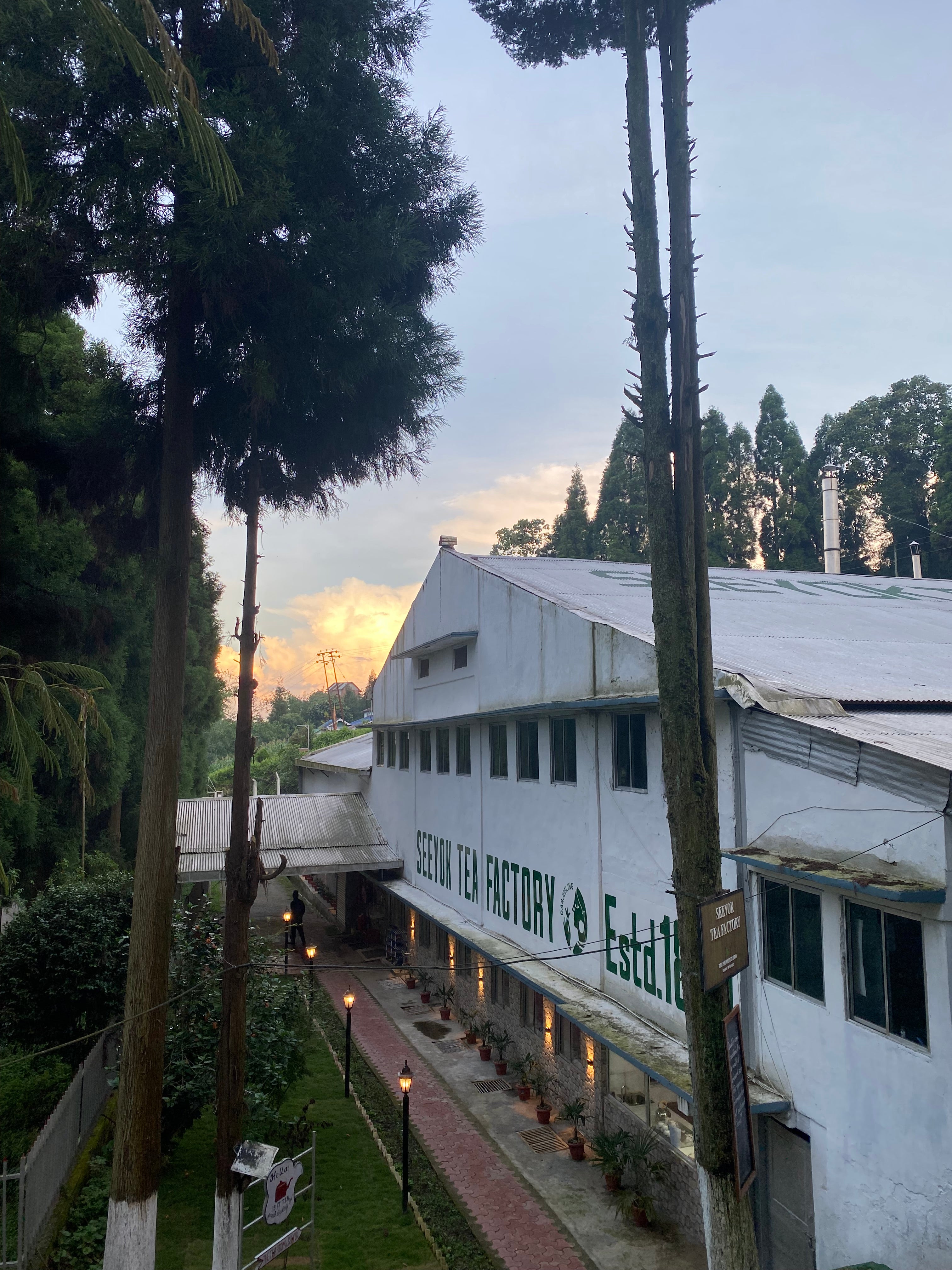 紅葉☆即購入OK様☆専用☆ Z/Xを予約してPRカードをもらおう！キャンペーン アイドル