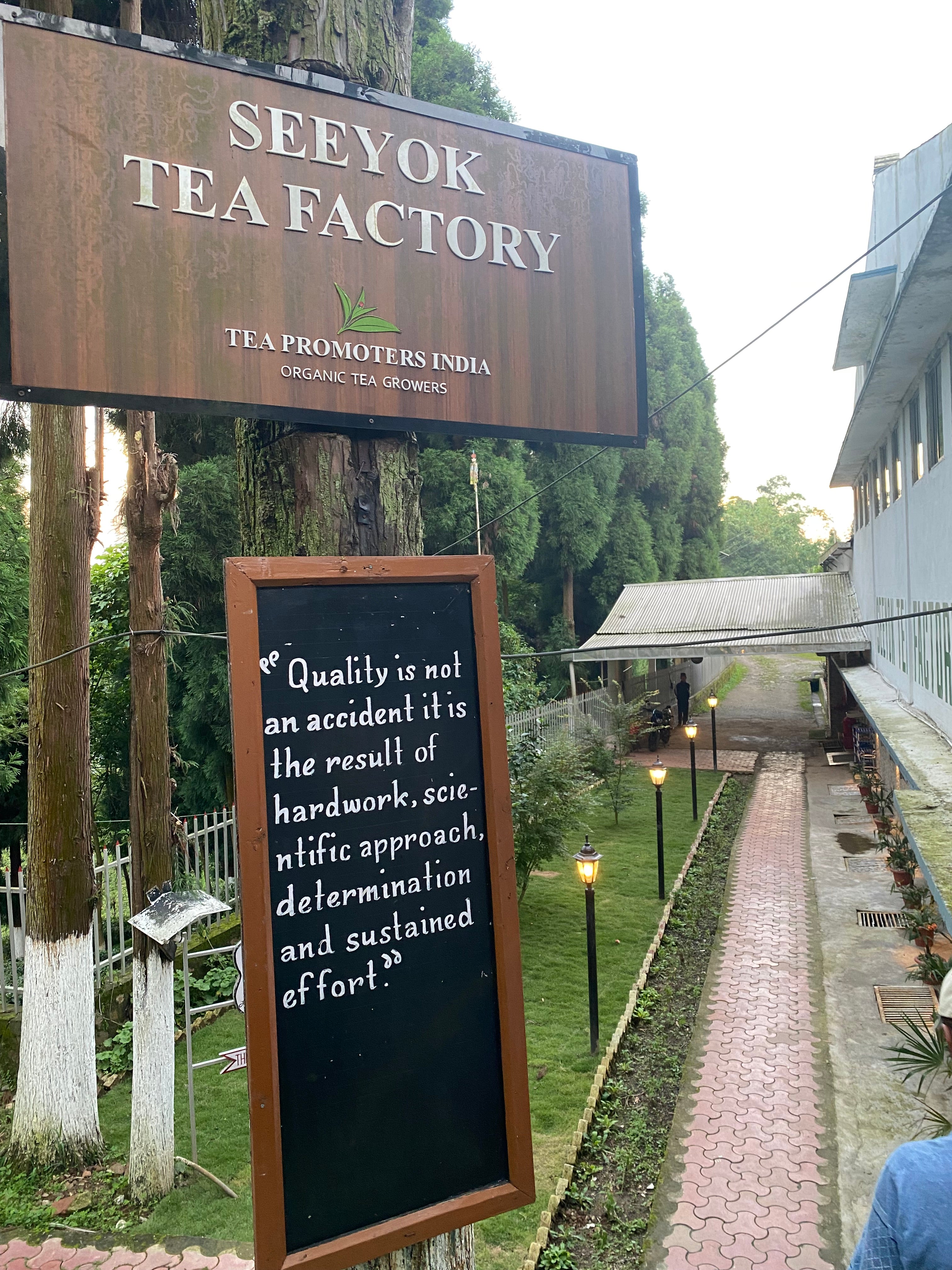 苺風 1225 ②苺 紫苺② 紫苺④-② Buy ZX 8000 'Strawberry