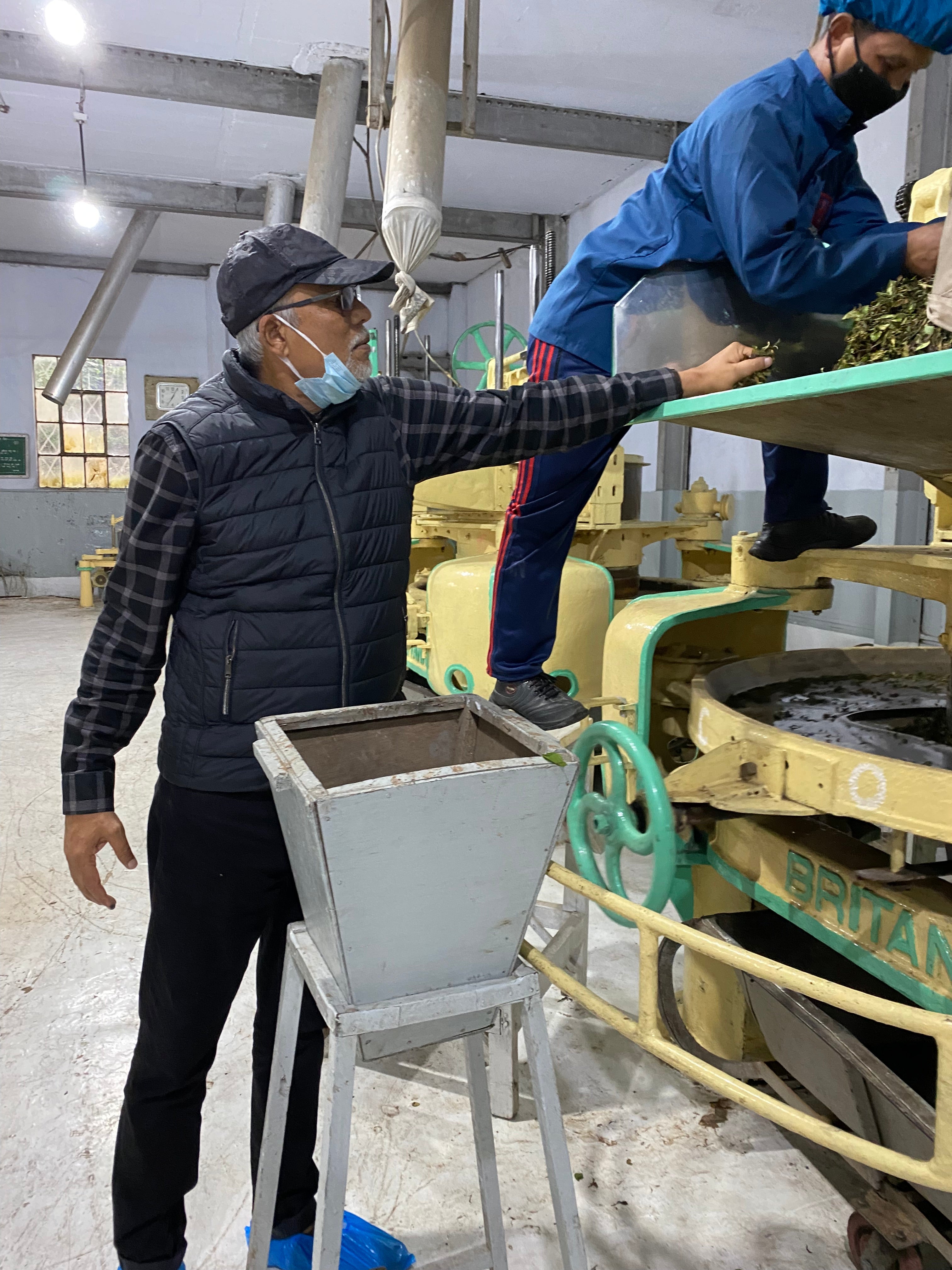 ダージリン セカンドフラッシュ サングマ茶園 FTGFOP1-MUSCATEL, 2024