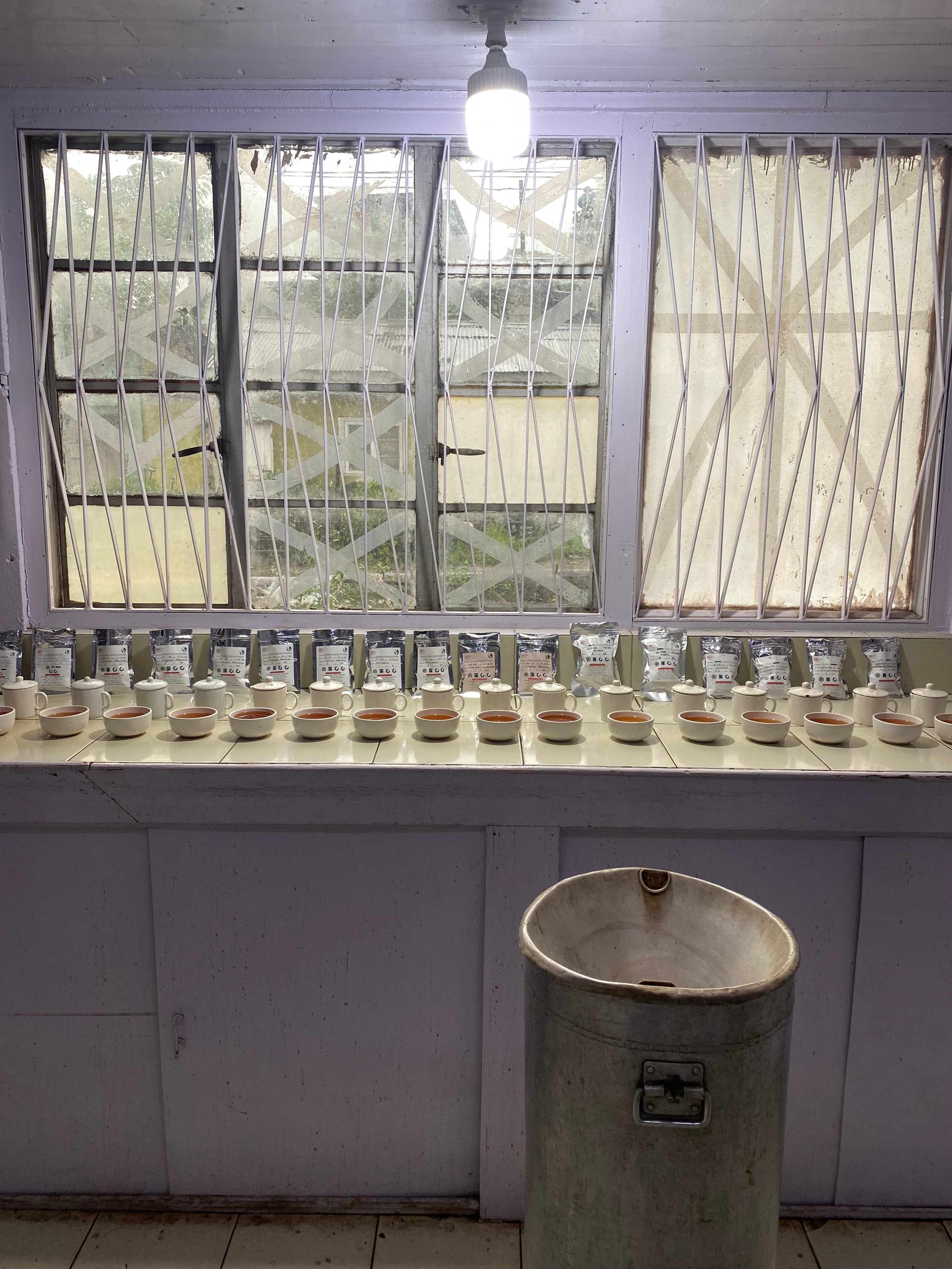 ダージリン セカンドフラッシュ サングマ茶園 FTGFOP1-MUSCATEL